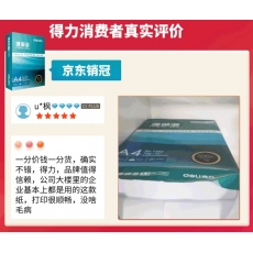 得力(deli)珊瑚海A4打印纸 70g克500张*5包一箱 销冠复印纸 双面草稿纸 整箱2500张 7361